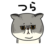851262645