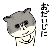851262647