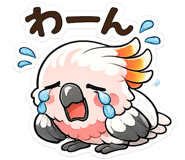 851267726