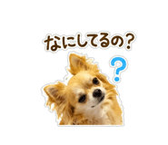 851269281