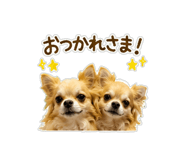 851269312