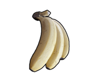 851269916