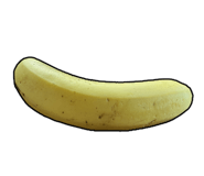 851269918