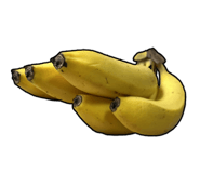 851269919