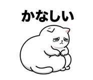 851271264
