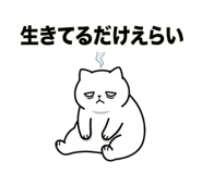851271268
