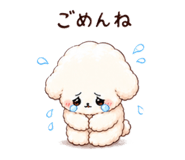 851271624