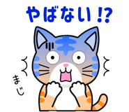 851272685