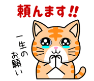 851272694