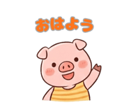 851274633