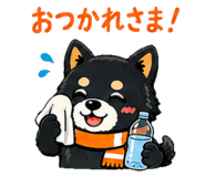 851276893