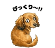851277087