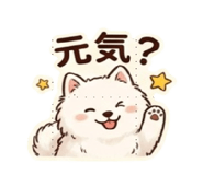 851282429