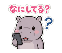 851286114