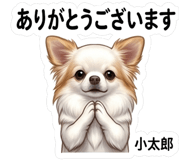 851288835