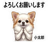 851288837