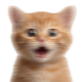 851289497