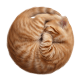 851289503