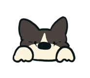 851290117