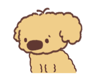 851290128