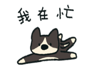 851290144