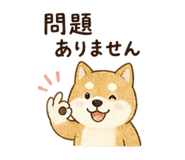 851292495