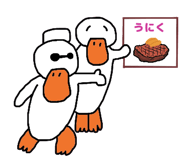 851294197