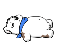 851294884
