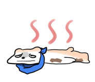 851294895