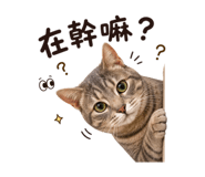 851300267