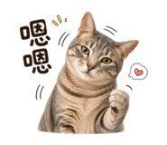 851300282