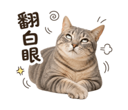 851300285