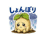 851303057