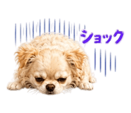851303877