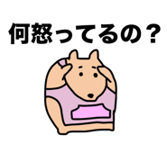 851304205