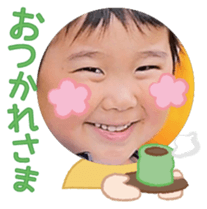 851306554