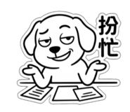 851308241
