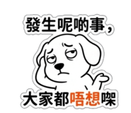 851308244