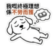 851308255