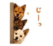 851311337