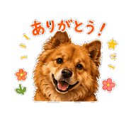 851311342