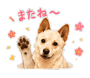 851311351