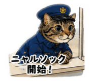 851311658
