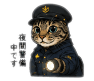 851311666