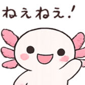 851312273