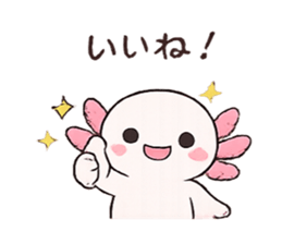 851312275