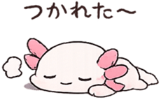 851312279
