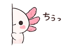 851312280