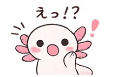 851312287