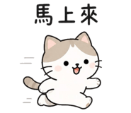 851312695